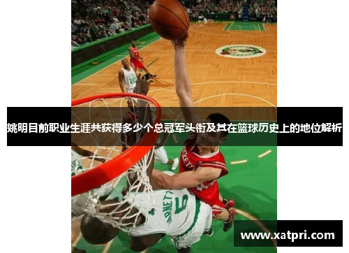 姚明目前职业生涯共获得多少个总冠军头衔及其在篮球历史上的地位解析