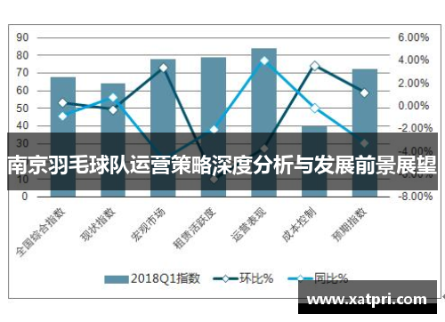 南京羽毛球队运营策略深度分析与发展前景展望